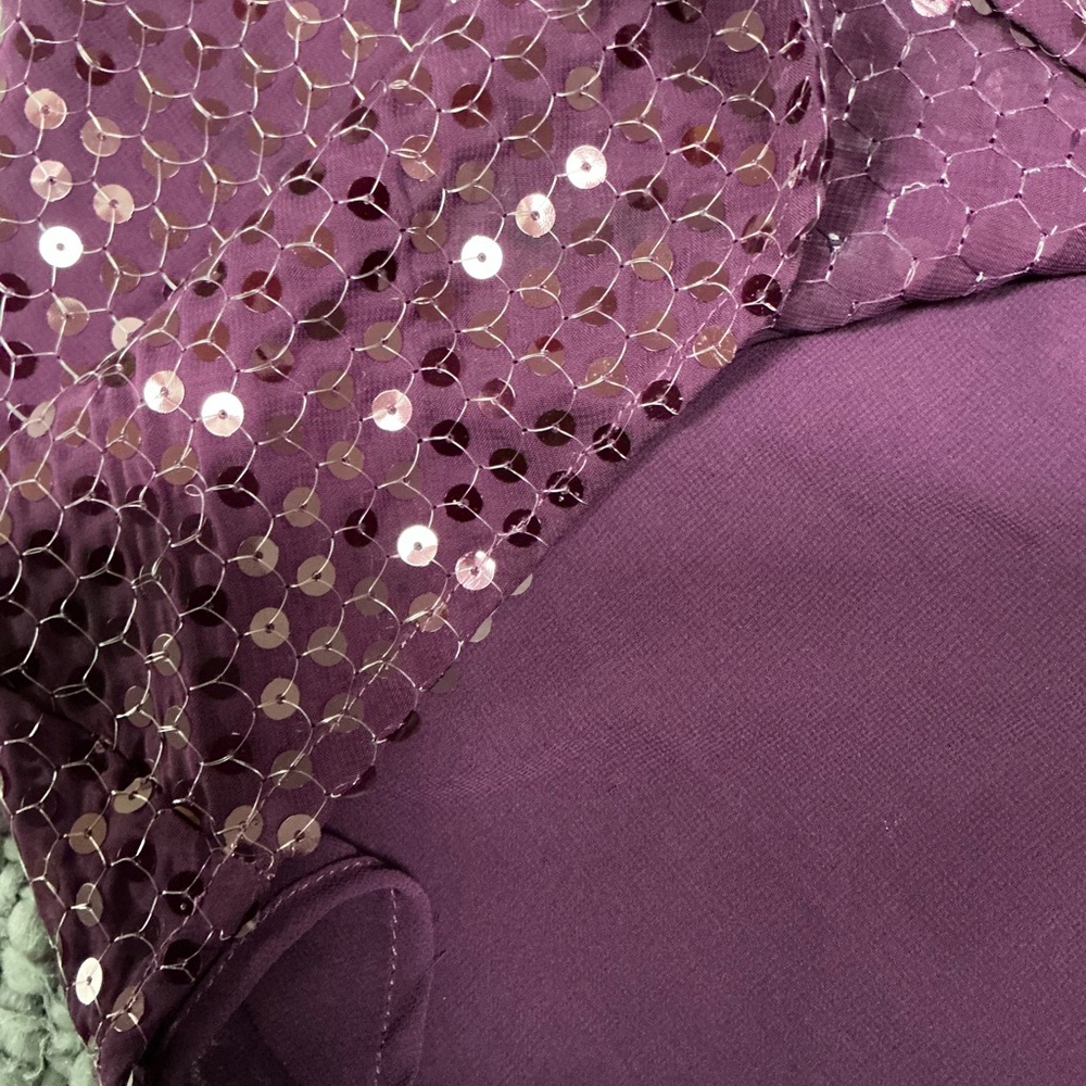 Anthropologie Plum Sequin Maxi Skirt - Picture 6 of 6